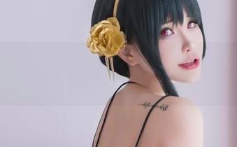 不止肉丝那么简单：花リリ(Plant Lily)的原图资源让你目不转睛！